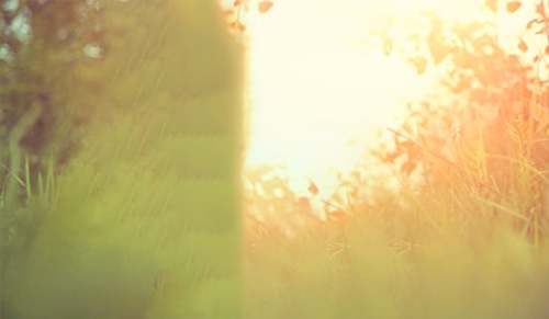 餐饮促销活动方案【优选6篇】