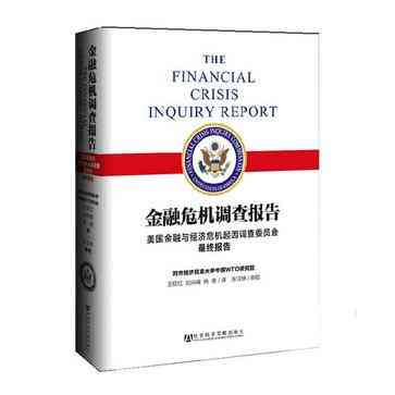 金融危机调查报告