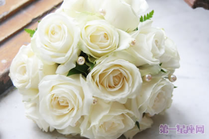 七夕送多少朵白玫瑰？七夕送几朵玫瑰合适？