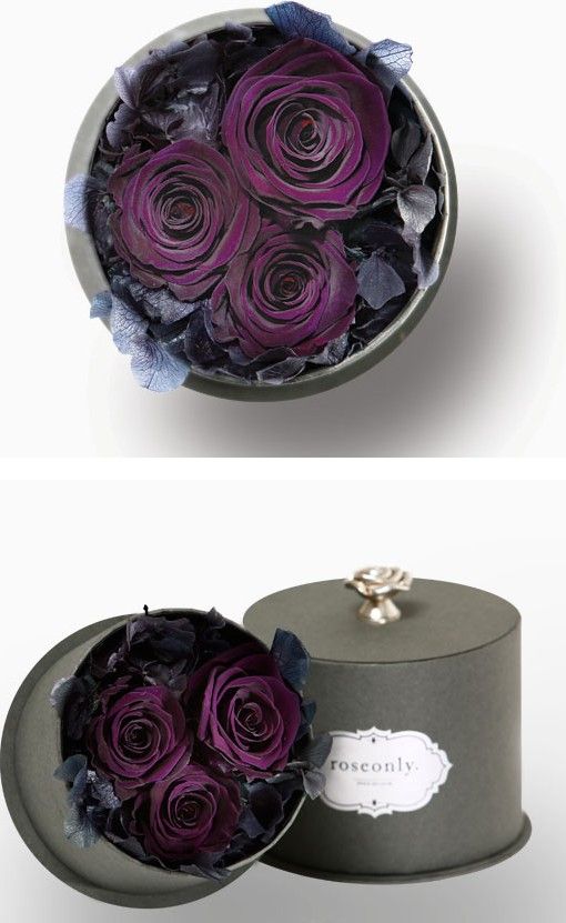 紫玫瑰代表什么意思