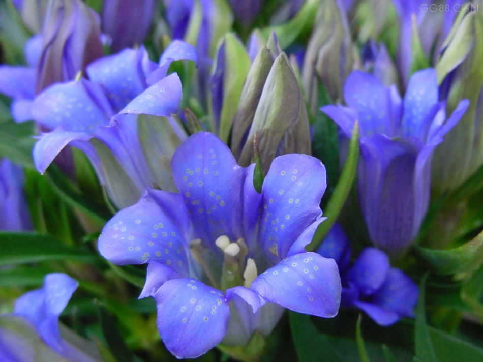 依米名字的由来你知道吗？