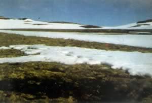 我国南极长城考察站建成(历史今天lsjt.org)